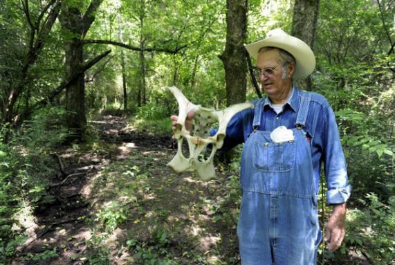 Loudon farmer Jerry Hughes holds a cow bone Tuesday, July 16, 2013 on the property he used to lease for his cattle. Hughes says the drainage ditch beside him begins at the retention pond on Matlock Bend landfill property. He had 26 cows die in 2010, he believes they died from poisonous runoff from the landfill.  (MICHAEL PATRICK/NEWS SENTINEL)
