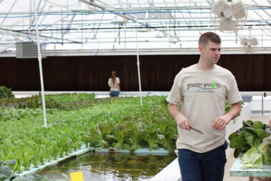 Larisa Brass/Business Journal
Kurt Sizemore, Greater Growth's first employee, helps prepare bok choi for market. The Lenoir City company grows a variety of greens using an organic cultivation technique known as aquaponics.
